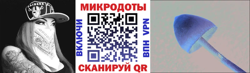 кракен онион  сколько стоит  Карабаш  Псилоцибиновые грибы Psilocybine cubensis 